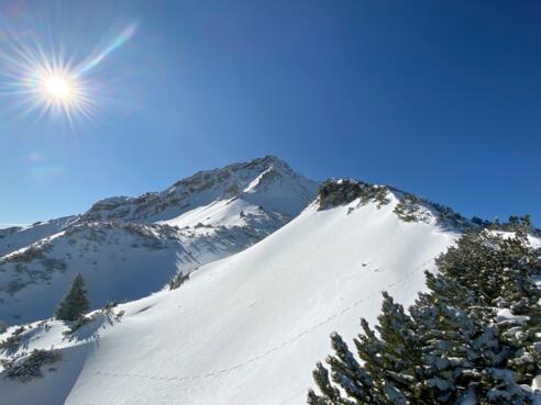 Blick zum Gipfelaufbau der Scheinbergspitze