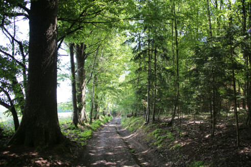 Schöner Wanderweg
