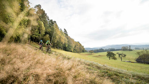 Bike_im-M%c3%bchlviertel_Ober%c3%b6sterreich-Tourismus_Moritz-Ablinger_gusentalradweg