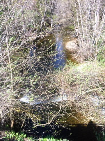 In saftigem Grün versteckt sich die Illach