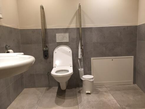 Behinderten-WC im Alpengasthof, Eng