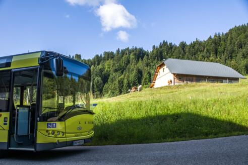 Bushaltestelle beim der Alpe Heumöser, Dornbirn-Ebnit