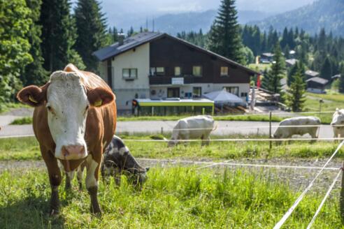 Gasthaus Heumöser, Dornbirn-Ebnit