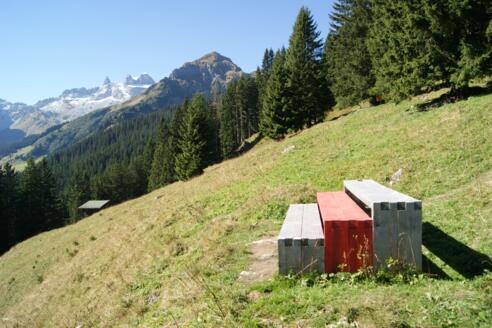 Tribüne