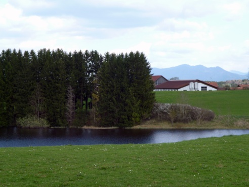 Schöner Blick über den Hachtsee zu den Höfen des Weilers Reinthal - im Hintergrund die Alpen.