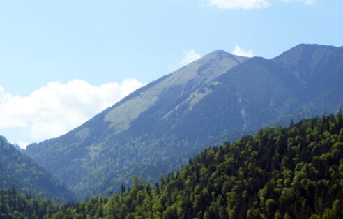 Blick von Osten auf den Vorderen Felderkopf.