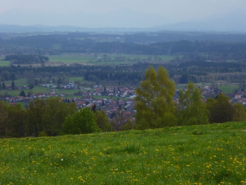 Schöner Blick auf Peißenberg vom Waldrand oberhalb des Weinbauers - dahinter sind die schwachen Umrisse der Alpenkette zu erkennen.