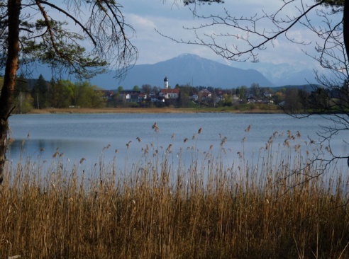 Vom Nordufer des Fohnsees bietet sich ein herrlicher Blick auf Iffeldorf.