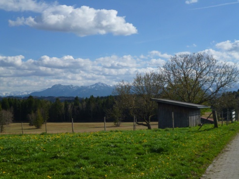 Grandioser Blick auf die Alpenkette vom südlichen Ortsrand von Egenried.