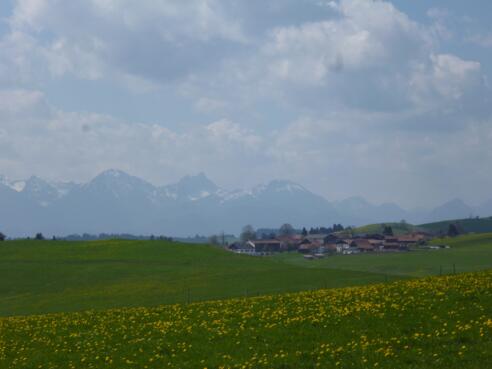Südlich von Fronreiten bietet sich ein herrlicher Blick auf die Tannheimer und Allgäuer Alpen.