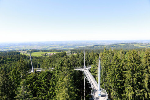 Baumwipfelpfad skywalk allgäu