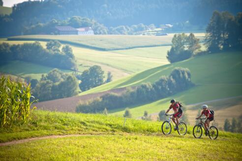Mountainbiken%2bim%2bM%c3%bchlviertel-6