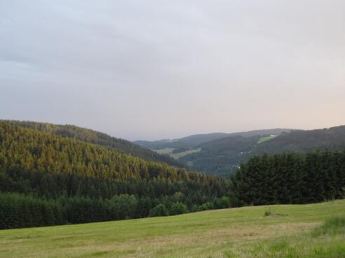 Blick in die Alpen
