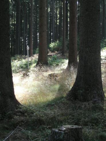 Große Bergrunde