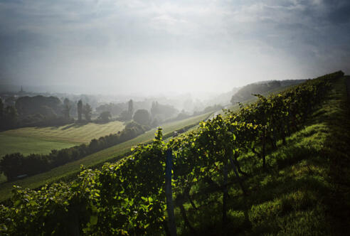 Franken Weinregionen