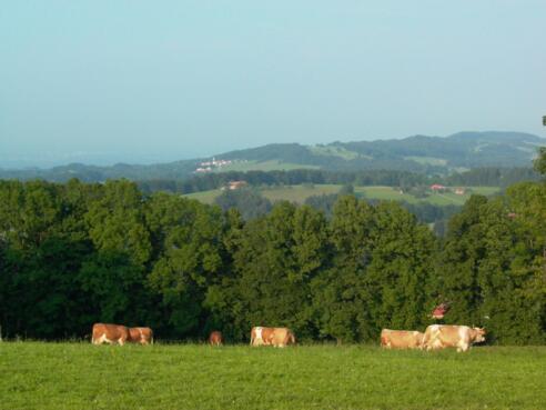 Blick vom Stadlberg