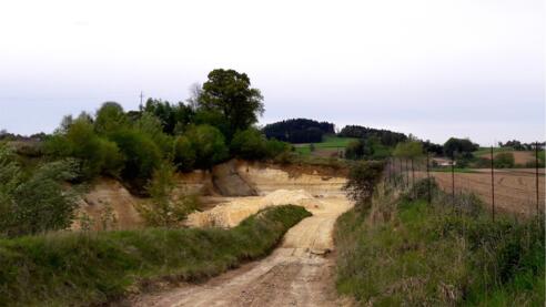 Sandgrube 5 aufgelassen (Brutstätte Bienenfresser nicht stören))