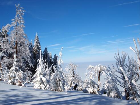 Zauberhafte Winterlandschaft