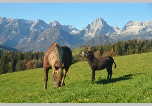 Steffi und Rudi am Ferienhof Zamsegg