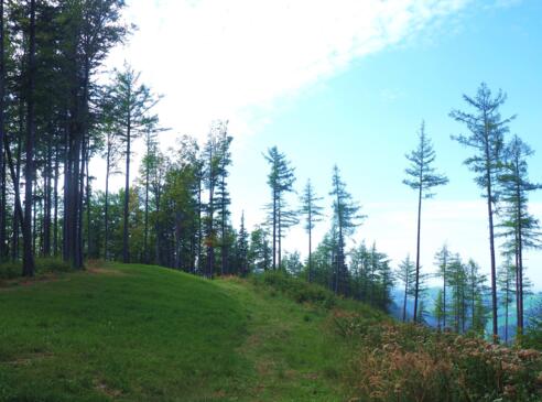 Plachwitz 898m