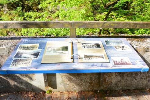 Station 6: Die Holztrift