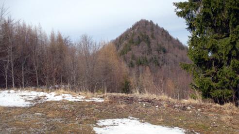 Wasenriedel/Zickertstein 1129m