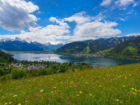 Mitterbergblick Sommer