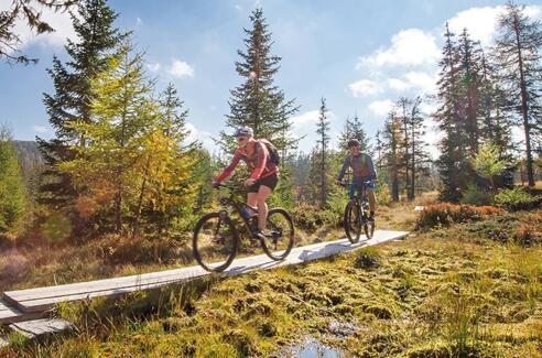 Weg zwischen Bonner Hütte &amp; St. Margarethen