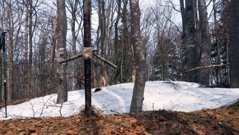 Höllkar 1169m (2019)