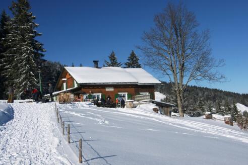 Losenpass