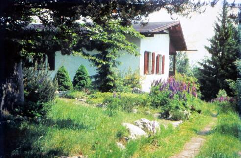 Steinwaldhütte im Sommer