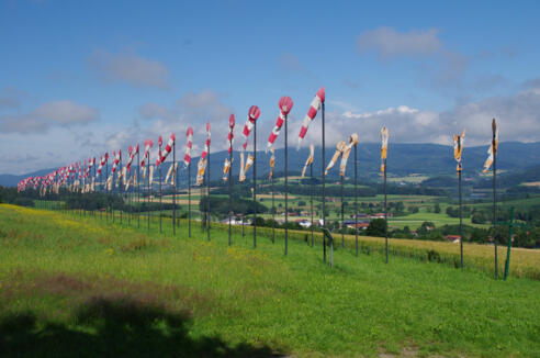 Eschlkamer Kunstwanderweg