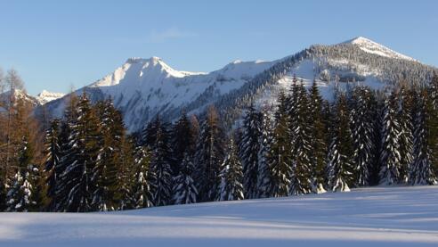 Am Tanzboden, Ausblick zum Schmittenstein und Schlenken