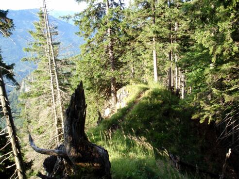 Jagdsteig über Saukogel