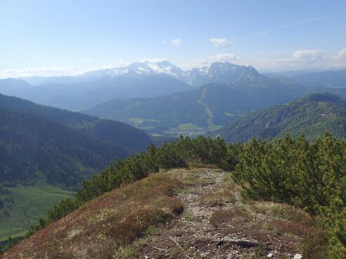 Ausblick vom Moosbergriedel Richtung Dachstein - Gosaukamm