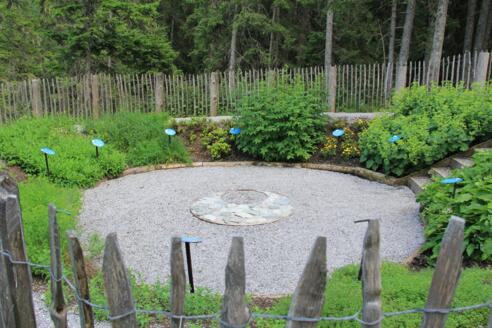 Kräuter im Mond-Krater