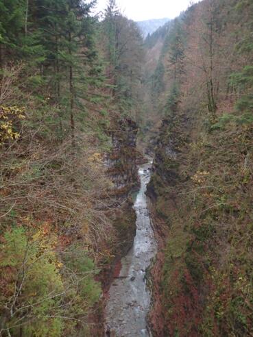 Blick vom Hohen Steg in die Tauglschlucht