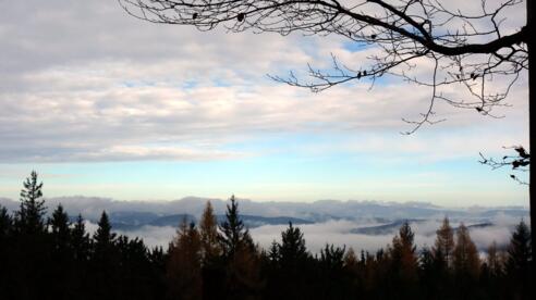 Godererkogel 822m, Blick zum Bayrischen Wald