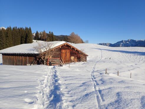 Dachs-Alm