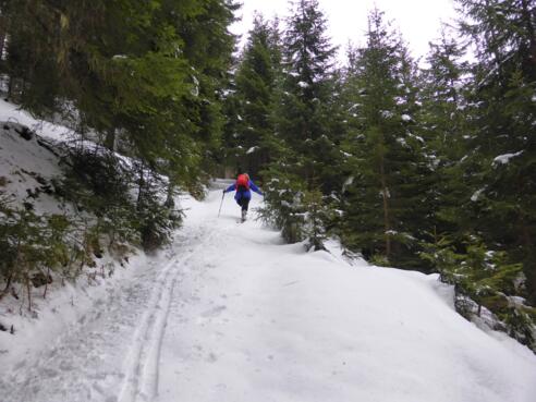 Almweg nach der Abzweigung