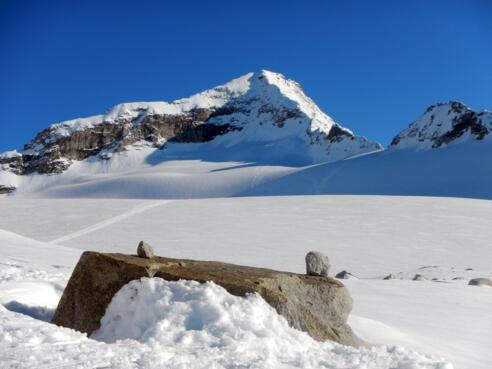 Die Südwestflanke des Schrammachers.