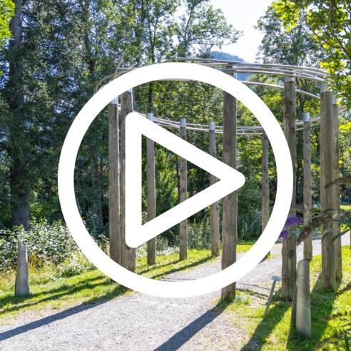 Magnus und die verlorene Kuh - Start