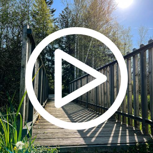 Magnus und das geheimnisvolle Moor - 4. Station