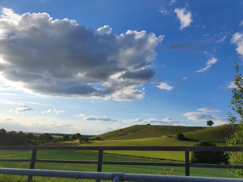 Blick auf Essigberg bei Michelau - ehemalige Zisterzienser Weinberglandschaft