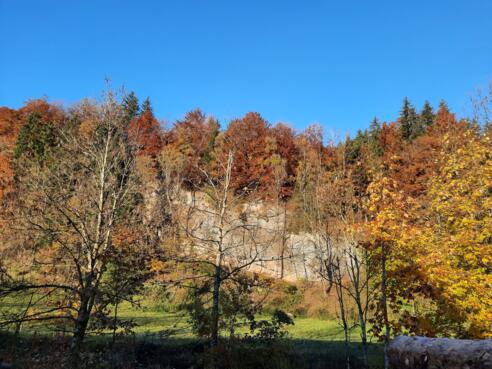 Kletterfelsen Weitnau-Seltmans