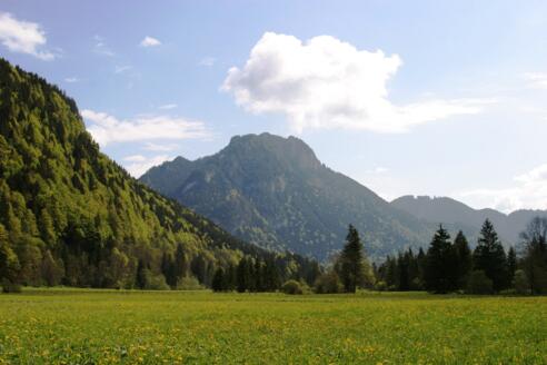 Blick von Westen auf den Laber.