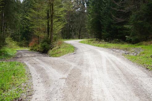 Unterwegs im Hienheimer Forst auf dem "Weitwandern Altmühltal - Ritter, Römer & Wacholder"