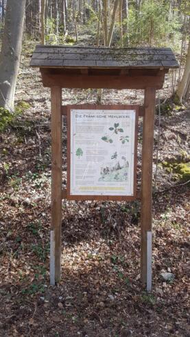 Infotafel Fränkische Mehlbeere
