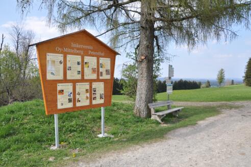 Bienen-Informationstafel