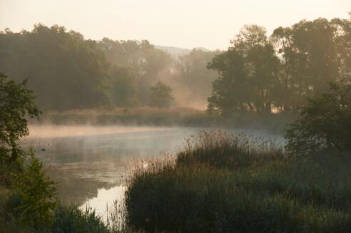 Blick auf die Altwasser des Inns